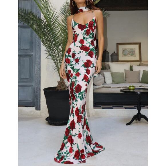 Alexandra Miro Isla Maxi Dress - XS Pink Roses - Picture 1 of 3